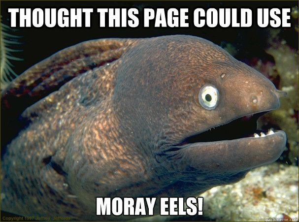 Thought this page could use Moray eels!  Bad Joke Eel