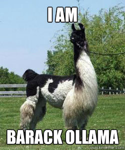 i am barack ollama - i am barack ollama  Barack ollama