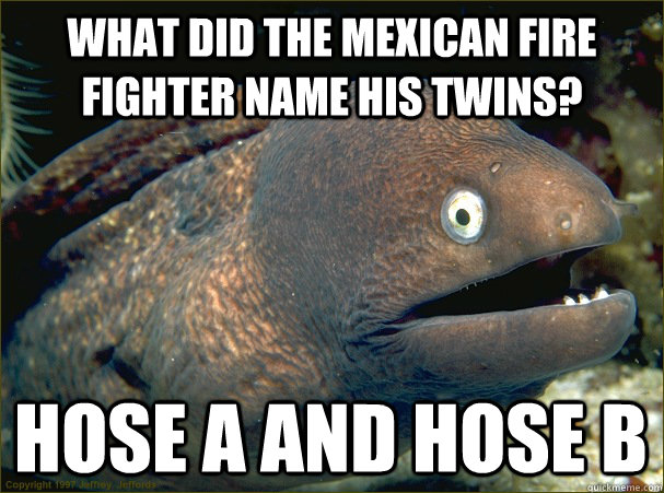 what did the mexican fire fighter name his Twins? HOse A and hose B - what did the mexican fire fighter name his Twins? HOse A and hose B  Bad Joke Eel