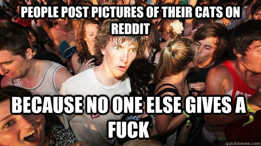 People post pictures of their cats on reddit because no one else gives a fuck     Sudden Clarity Clarence