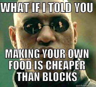 WHAT IF I TOLD YOU  MAKING YOUR OWN FOOD IS CHEAPER THAN BLOCKS Matrix Morpheus