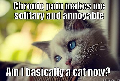 Chronic pain and cats - CHRONIC PAIN MAKES ME SOLITARY AND ANNOYABLE AM I BASICALLY A CAT NOW?  First World Problems Cat