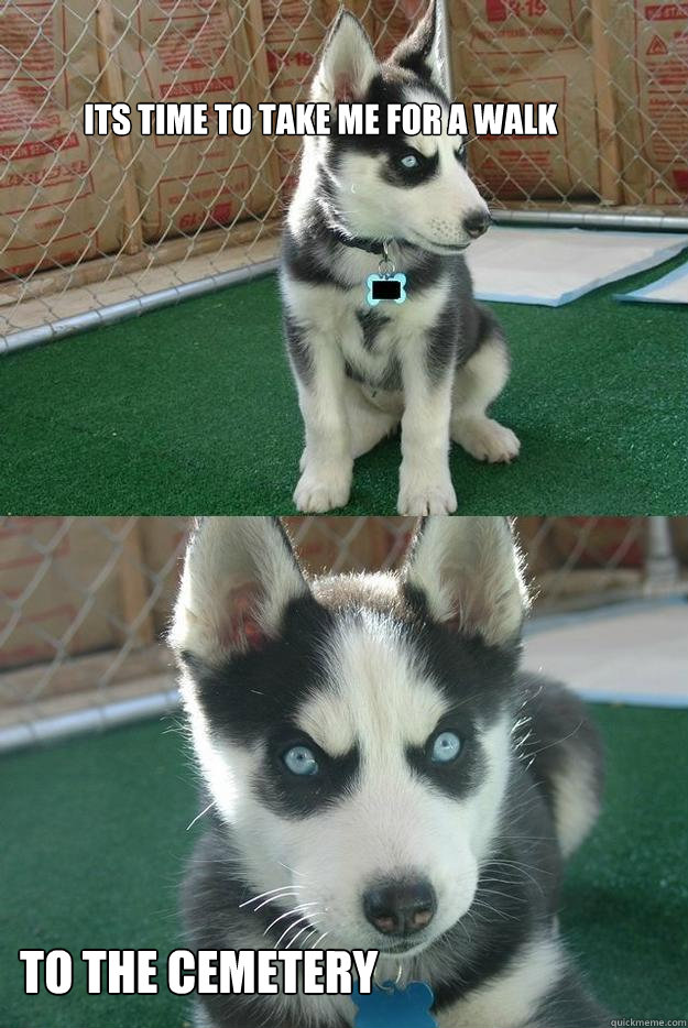 Its time to take me for a walk to the cemetery  Insanity puppy