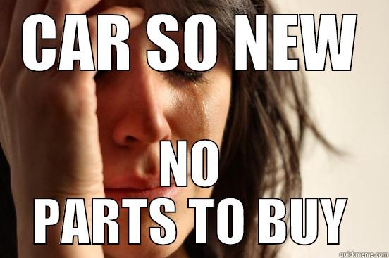 LOL STANG - CAR SO NEW NO PARTS TO BUY First World Problems