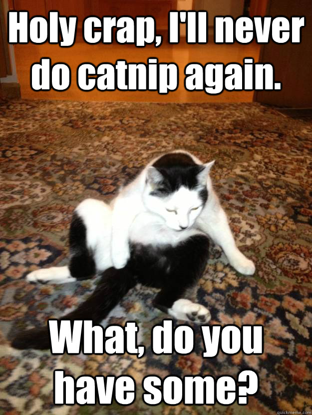 Holy crap, I'll never do catnip again. What, do you have some?  