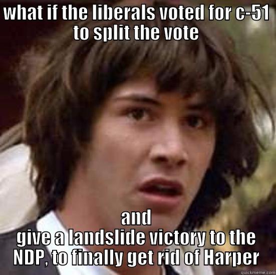 WHAT IF THE LIBERALS VOTED FOR C-51 TO SPLIT THE VOTE AND GIVE A LANDSLIDE VICTORY TO THE NDP, TO FINALLY GET RID OF HARPER conspiracy keanu