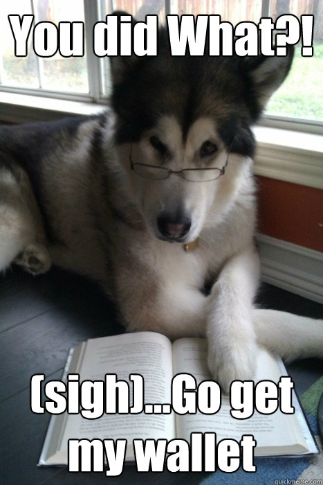 You did What?! (sigh)...Go get my wallet - You did What?! (sigh)...Go get my wallet  Intellectual Husky