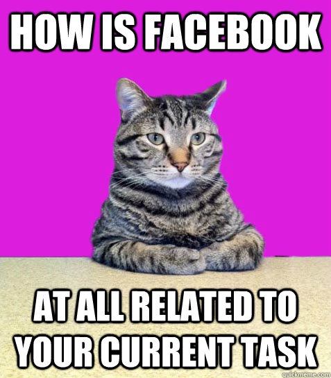 How is facebook at all related to your current task - How is facebook at all related to your current task  Disappointed Boss Cat