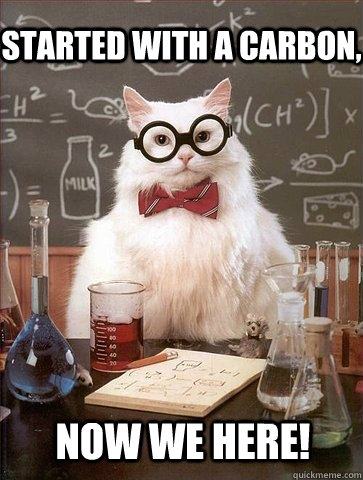 started with a carbon, now we here! - started with a carbon, now we here!  Chemistry Cat