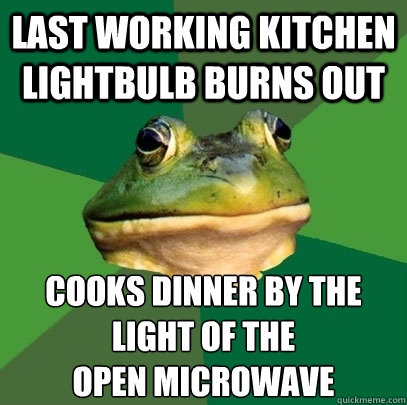 Last working kitchen lightbulb burns out Cooks dinner by the light of the 
open microwave  Foul Bachelor Frog