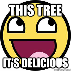 This tree It's delicious  