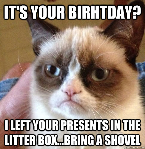 It's your birhtday? I left your presents in the litter box...bring a shovel  