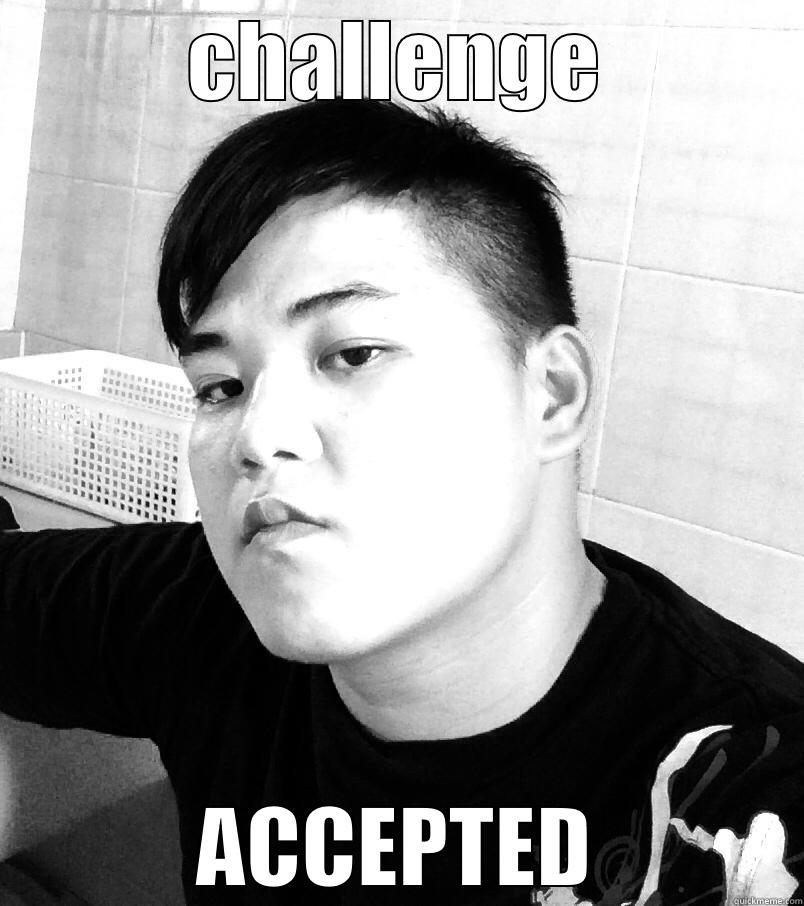 CHALLENGE ACCEPTED Misc