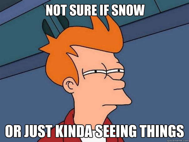Not sure if snow Or just kinda seeing things  Futurama Fry