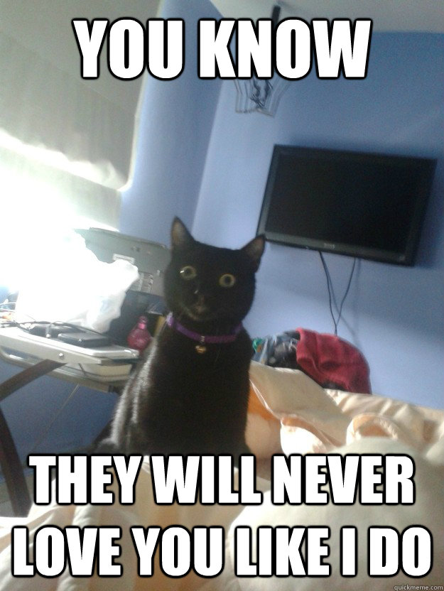 You know They will never love you like i do  overly attached cat