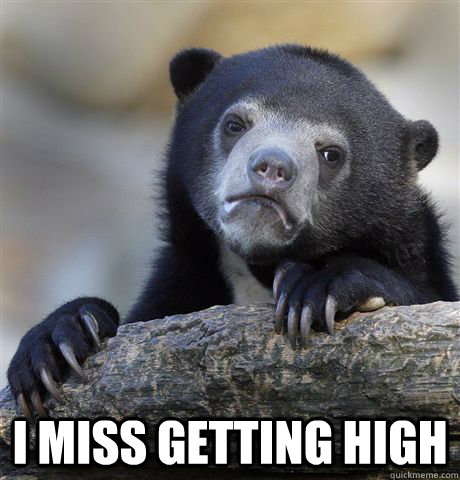  I miss getting high  -  I miss getting high   Confession Bear