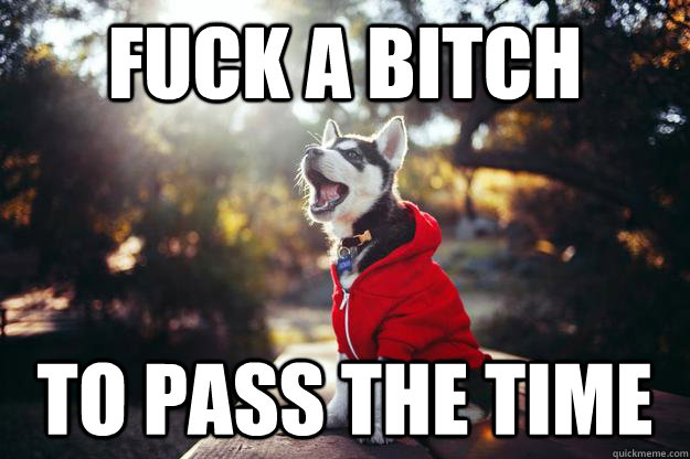 Fuck a bitch  to pass the time - Fuck a bitch  to pass the time  gambino husky
