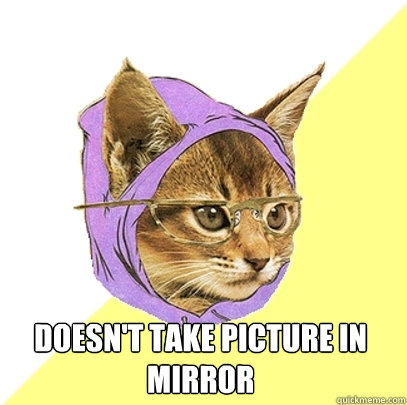  doesn't take picture in mirror  Hipster Kitty