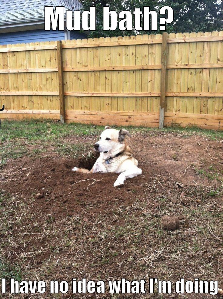 MUD BATH?  I HAVE NO IDEA WHAT I'M DOING Misc