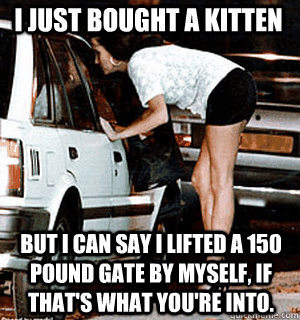 I just bought a kitten But I can say I lifted a 150 pound gate by myself, if that's what you're into.  Karma Whore
