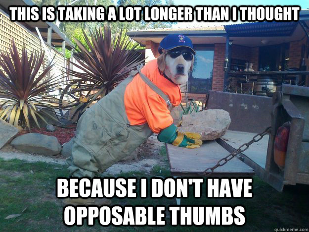 This is taking a lot longer than I thought because I don't have opposable thumbs - This is taking a lot longer than I thought because I don't have opposable thumbs  Working Like a Dog