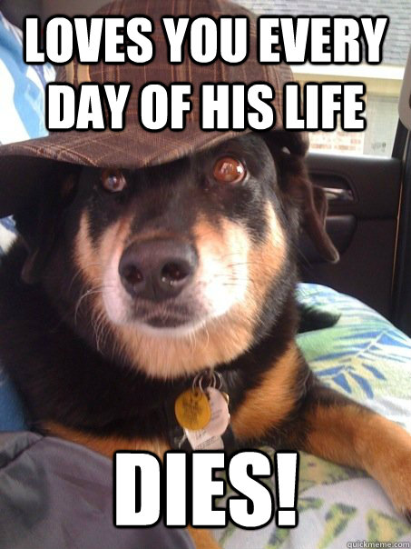 Loves you every day of his life Dies!  Scumbag dog