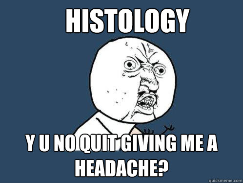 Histology Y U no quit giving me a headache?  Y U No