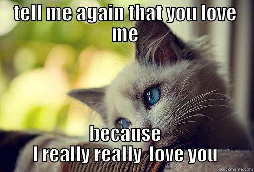 TELL ME AGAIN THAT YOU LOVE ME BECAUSE I REALLY REALLY  LOVE YOU First World Problems Cat