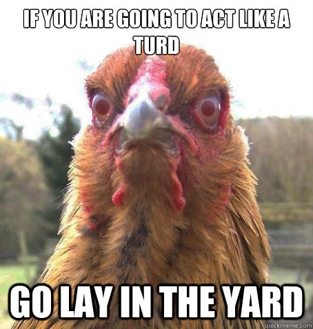 If You are going to act like a turd
 Go lay in the yard  RageChicken