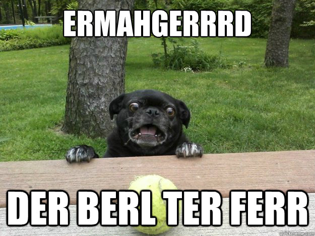 ERMAHGERRRD DER BERL TER FERR  Berks Dog