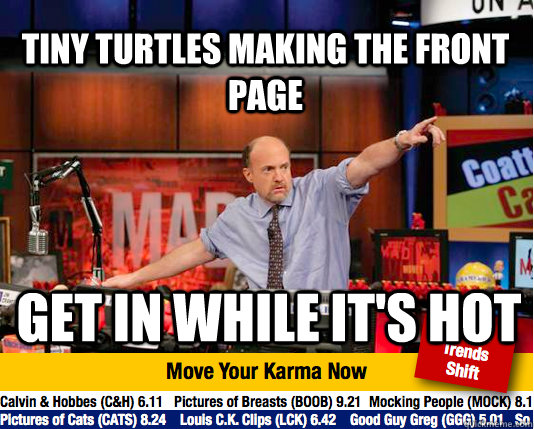 Tiny Turtles making the front page Get in while it's hot - Tiny Turtles making the front page Get in while it's hot  Mad Karma with Jim Cramer