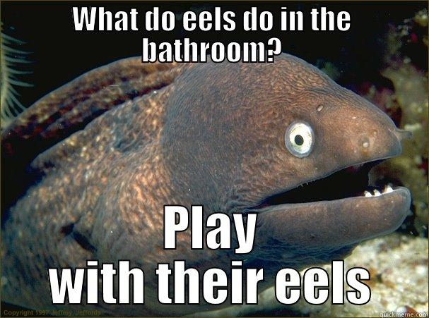 WHAT DO EELS DO IN THE BATHROOM? PLAY WITH THEIR EELS Bad Joke Eel