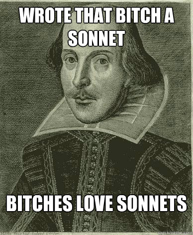 wrote that bitch a sonnet bitches love sonnets  