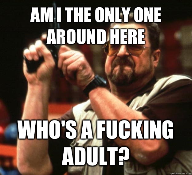 AM I THE ONLY ONE AROUND HERE WHO'S A FUCKING ADULT?   Angry Walter