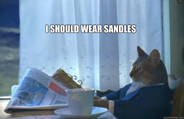 I should wear sandles  Sophisticated Cat