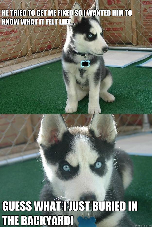 He tried to get me fixed so i wanted him to know what it felt like...
 Guess what i just buried in the backyard!  Insanity puppy