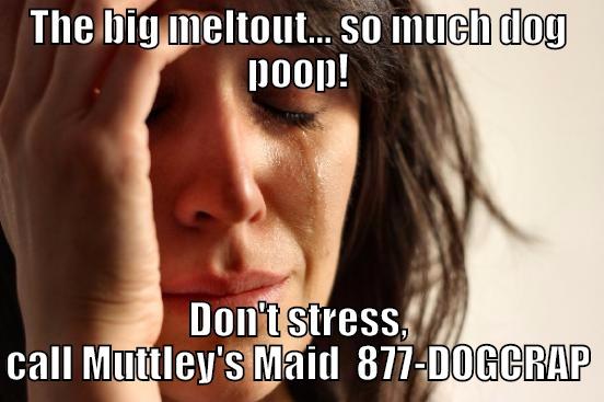 THE BIG MELTOUT... SO MUCH DOG POOP! DON'T STRESS, CALL MUTTLEY'S MAID  877-DOGCRAP First World Problems