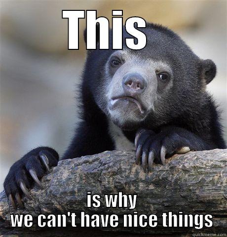 THIS  IS WHY WE CAN'T HAVE NICE THINGS Confession Bear