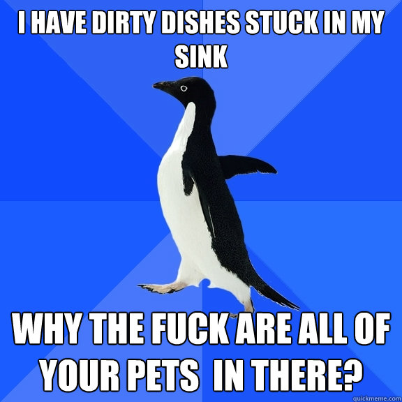 I have dirty dishes stuck in my sink why the fuck are all of your pets  in there?  Socially Awkward Penguin