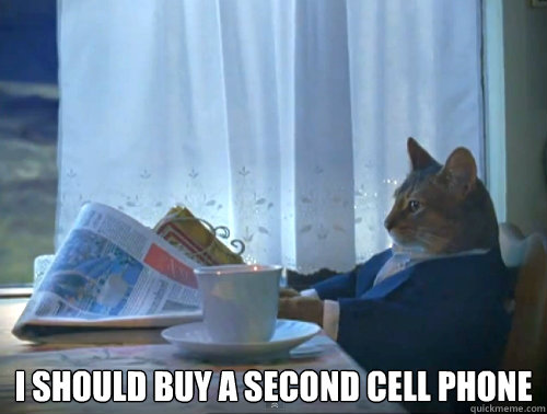  I should buy a second cell phone -  I should buy a second cell phone  The One Percent Cat
