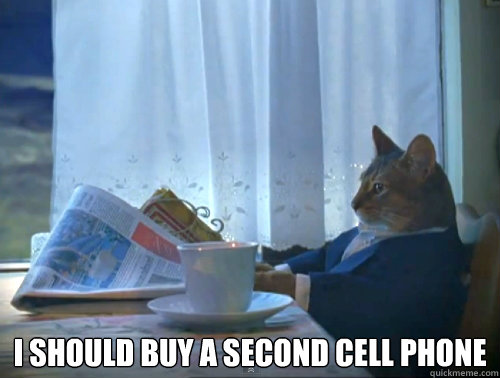  I should buy a second cell phone  The One Percent Cat
