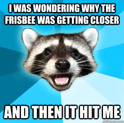 I WAS WONDERING WHY THE FRISBEE WAS GETTING CLOSER AND THEN IT HIT ME  Lame Pun Coon