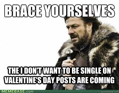 BRACE YOURSELVES The i don't want to be single on valentine's day posts are coming  