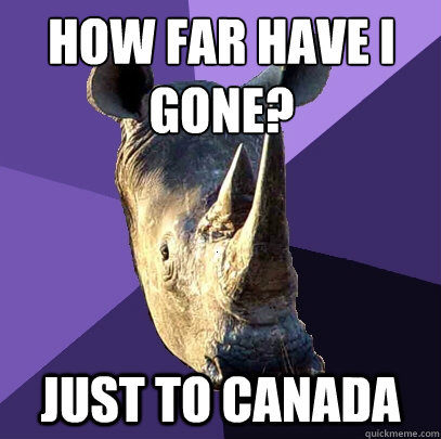 How far have I gone? just to canada - How far have I gone? just to canada  Sexually Oblivious Rhino