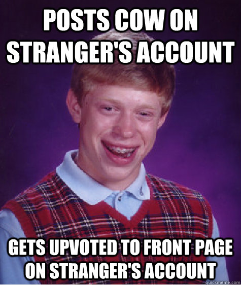 posts cow on stranger's account gets upvoted to front page on stranger's account  Bad Luck Brian