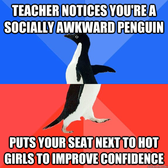 Teacher notices you're a socially awkward penguin Puts your seat next to hot girls to improve confidence  Socially Awkward Awesome Penguin