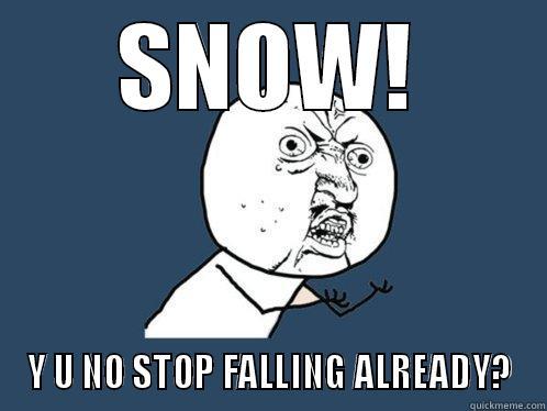 SNOW! Y U NO STOP FALLING ALREADY? Y U No