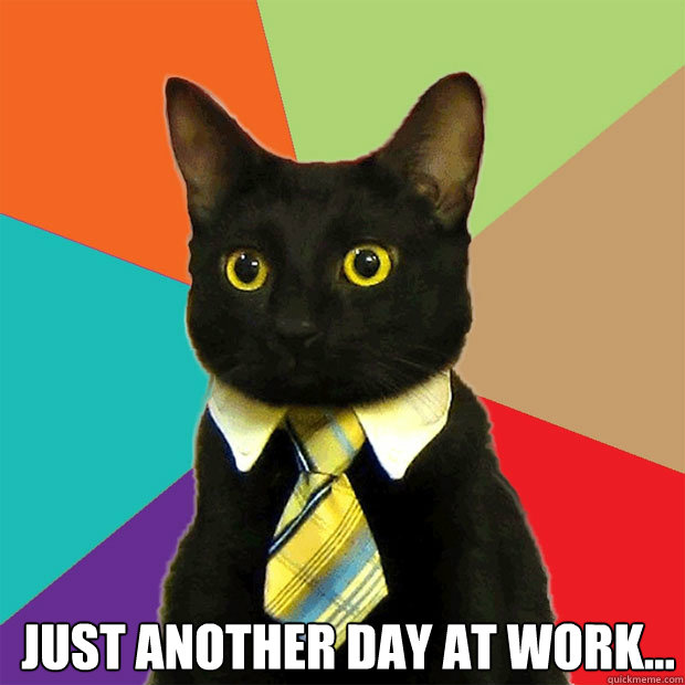 Just another Day at Work...  - Just another Day at Work...   Business Cat