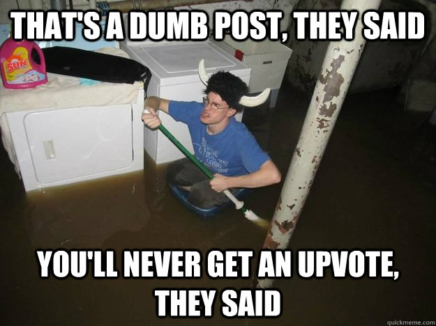 That's a dumb post, they said You'll never get an upvote, they said  Laundry Room Viking