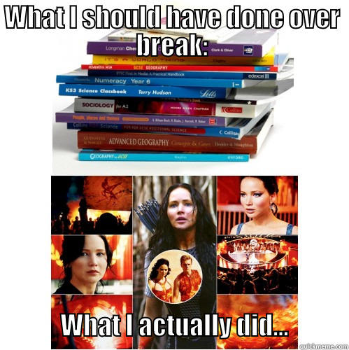 Not doing homework - WHAT I SHOULD HAVE DONE OVER BREAK:                WHAT I ACTUALLY DID...            Misc
